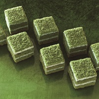 カット済みシートケーキ 抹茶